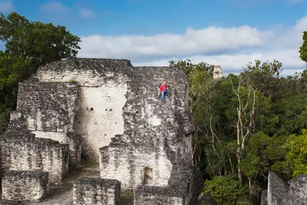 Tikal tepasida