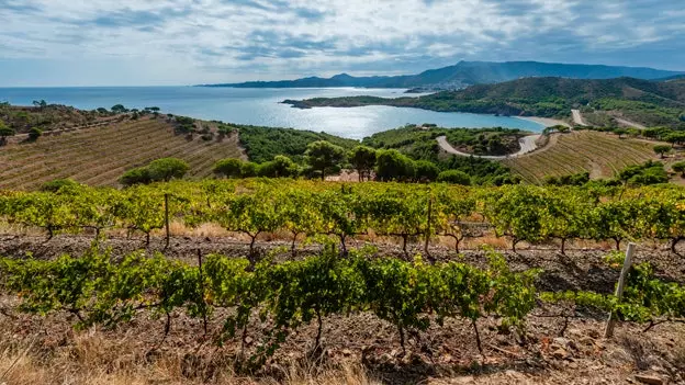 Os quatro fantásticos do enoturismo na Catalunha