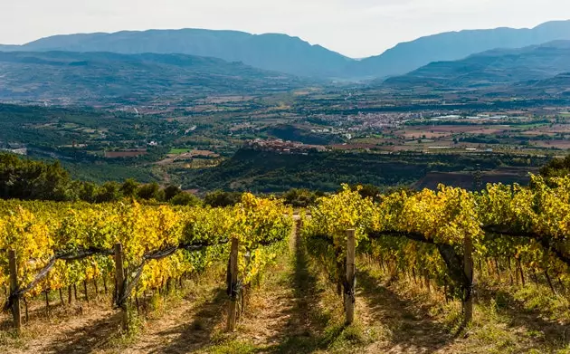 Vinhedos de Castell d'Encús