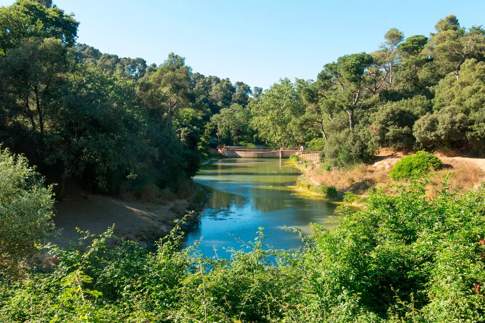 Serra de Collserola naturpark