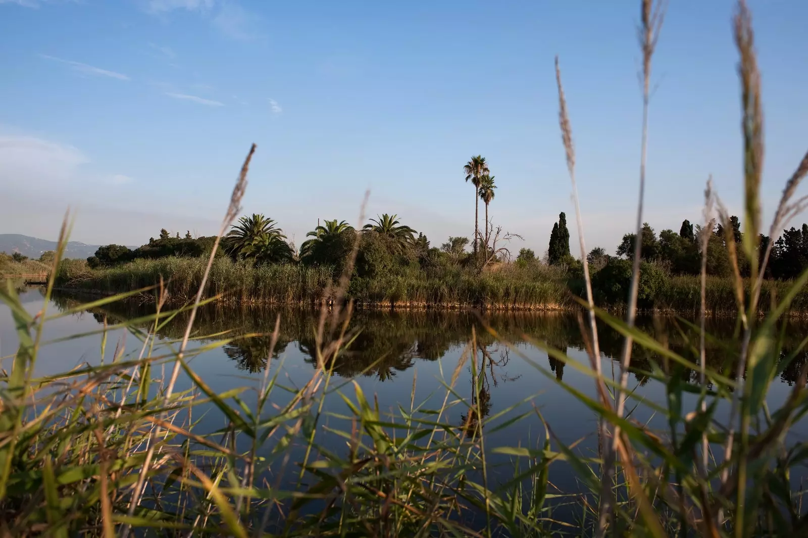 Llobregat Delta բնական տարածք