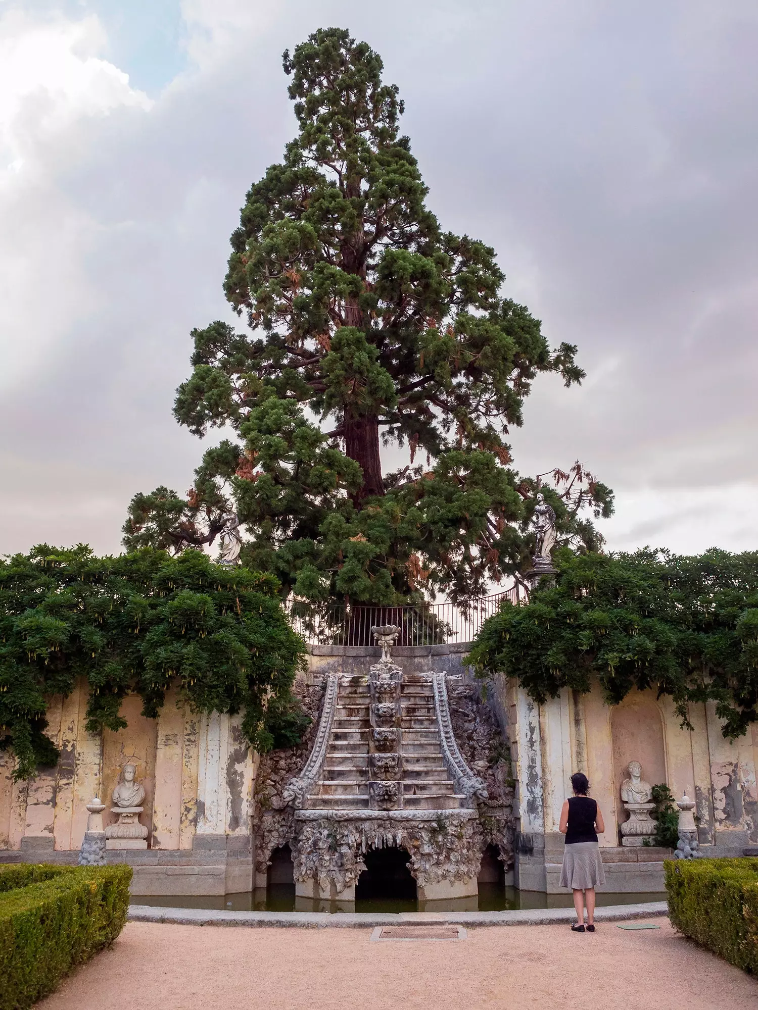 Cinquena del Duc de l'Arc