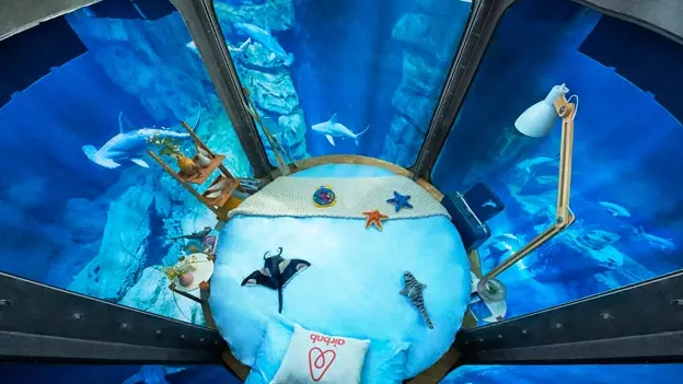 Le nouveau logement d'Airbnb est sous l'eau, parmi les requins et à Paris