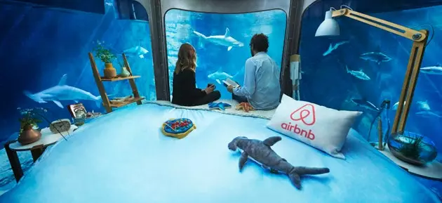 Airbnb's new accommodation is underwater among sharks and in Paris