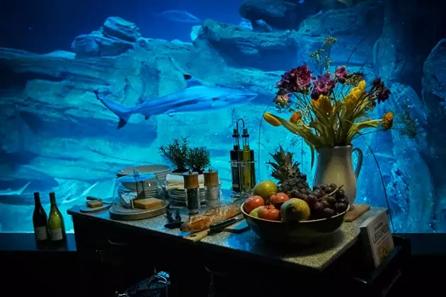 Airbnb's new accommodation is underwater among sharks and in Paris