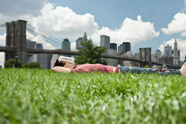 Un « chef-d'œuvre » a été écrit : une promenade littéraire à travers New York 13389_2