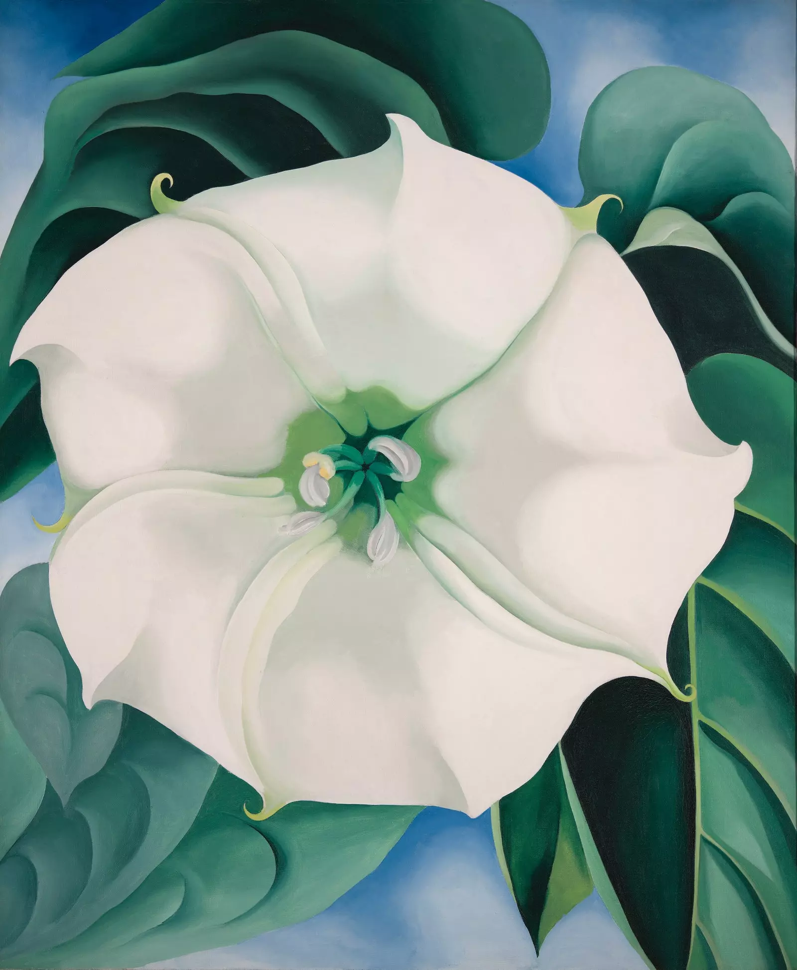 Jimson Weed #1 Muzeum amerického umění Crystal Bridges z roku 1932 Bentonville Arkansas