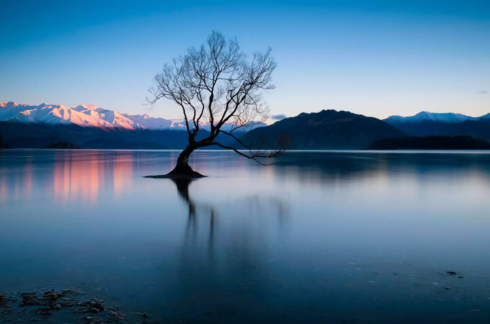 Hundreds of photographers from all over the world came to photograph it.