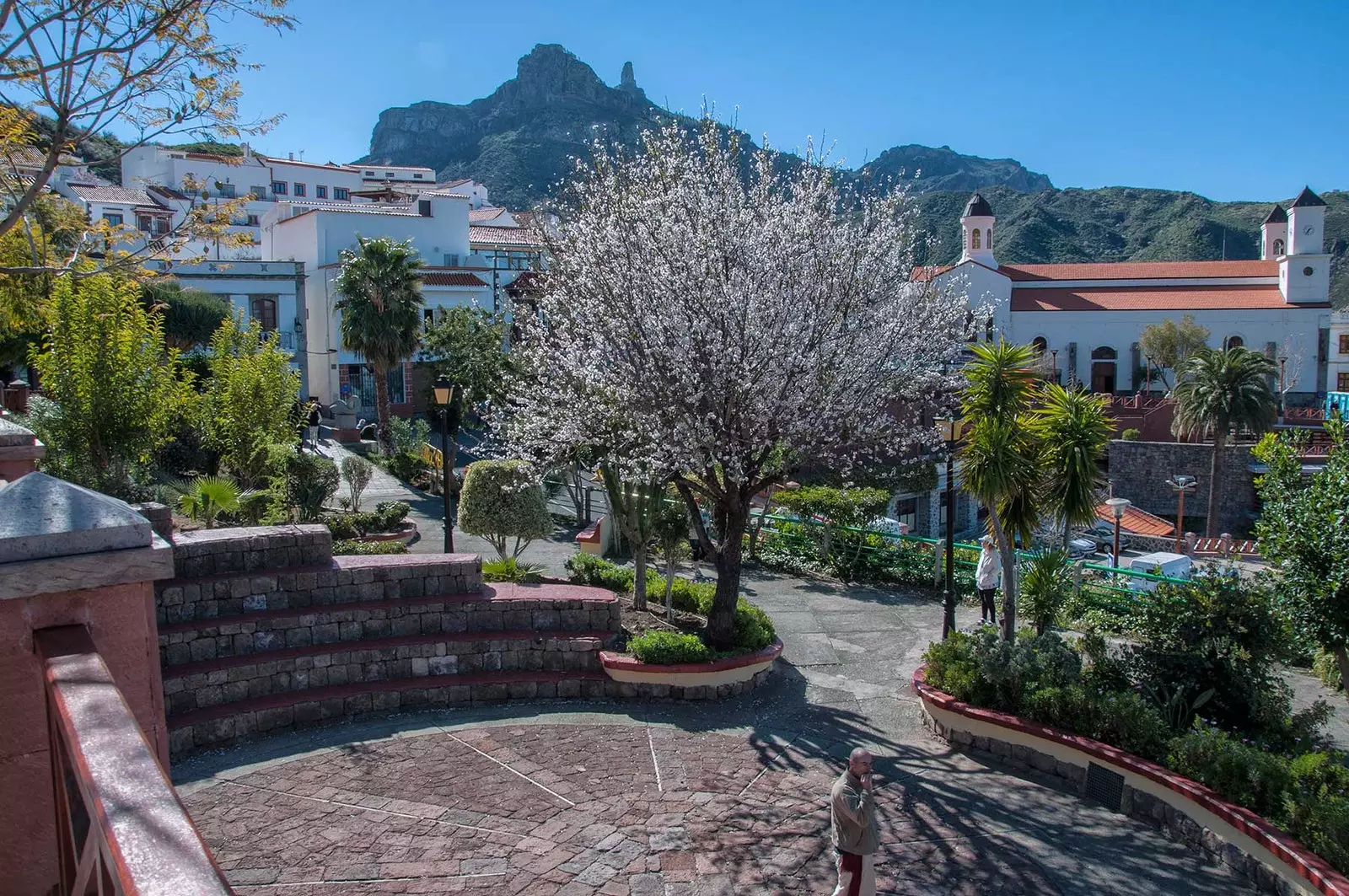 Fiestas Almond Blossom Tejeda