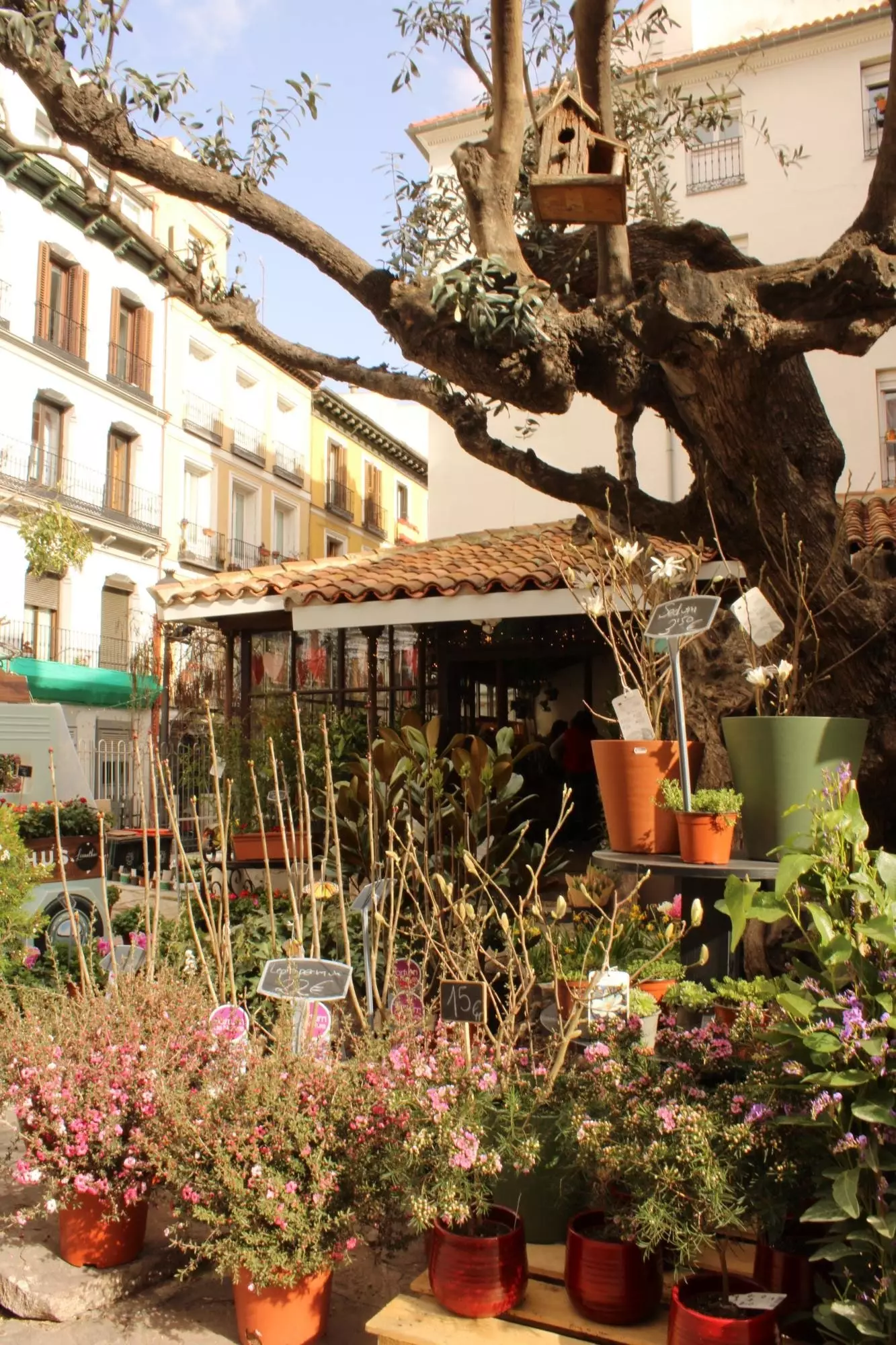 Ee vun den ikonesche Blummenbutteker am Zentrum vu Madrid