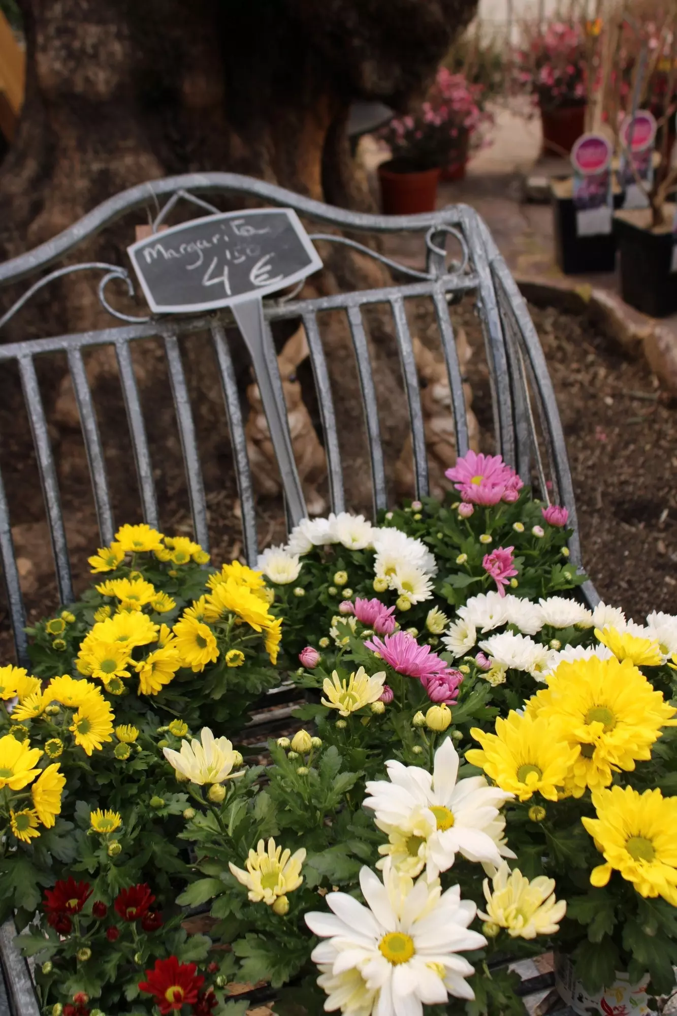 Il famoso negozio di fiori in Calle Huertas merita una visita