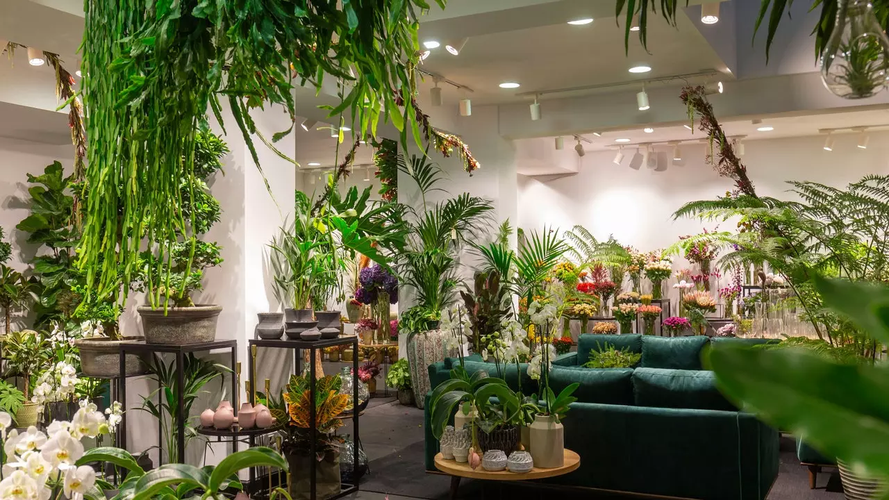 Columelas: der florale Concept Store, nach dem sich Madrid sehnt