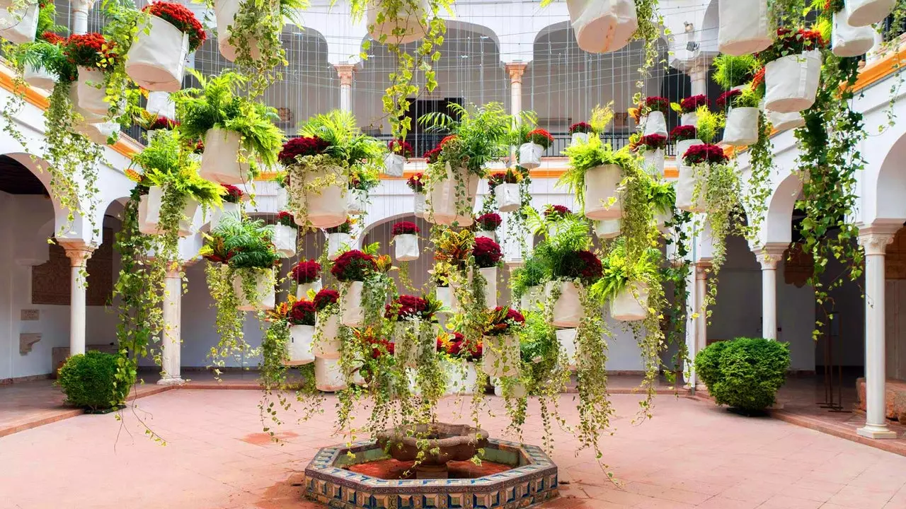 C'est le festival qui remplit les patios de Cordoue de fleurs en octobre