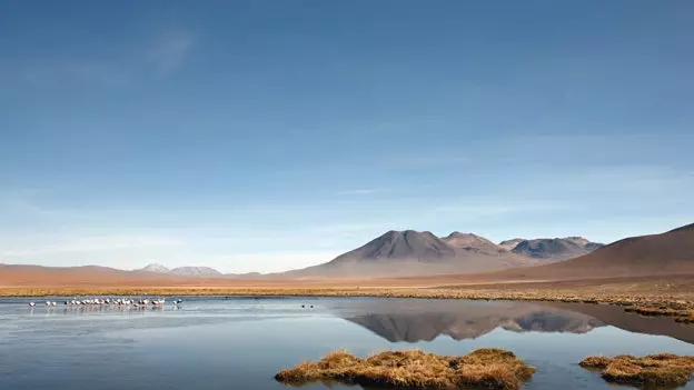 Atacama, lời mời im lặng