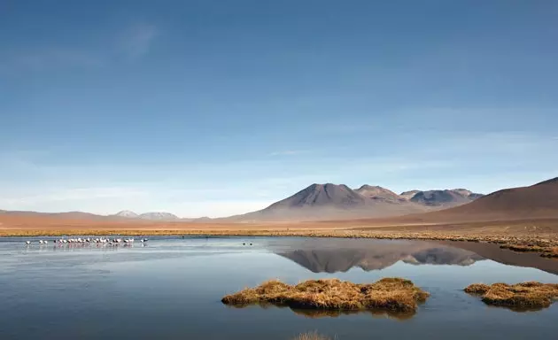 Laguner i Atacama-ørkenen