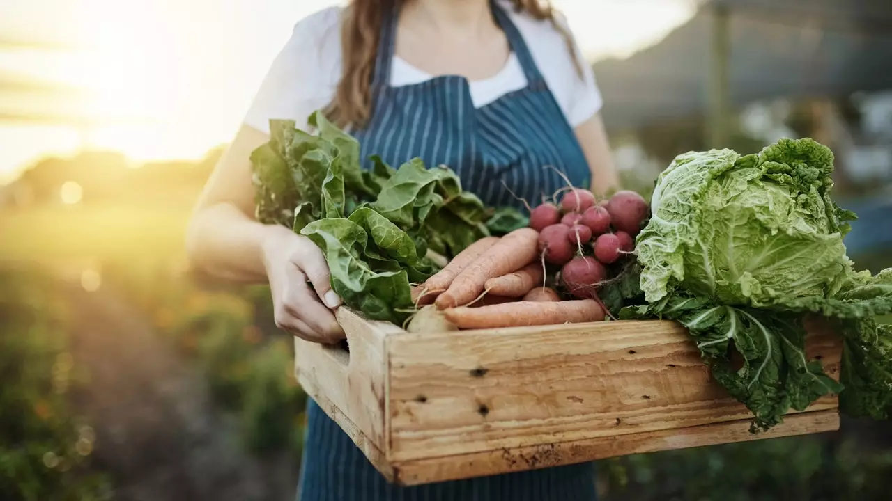 Para o amor de legumes (sazonal)