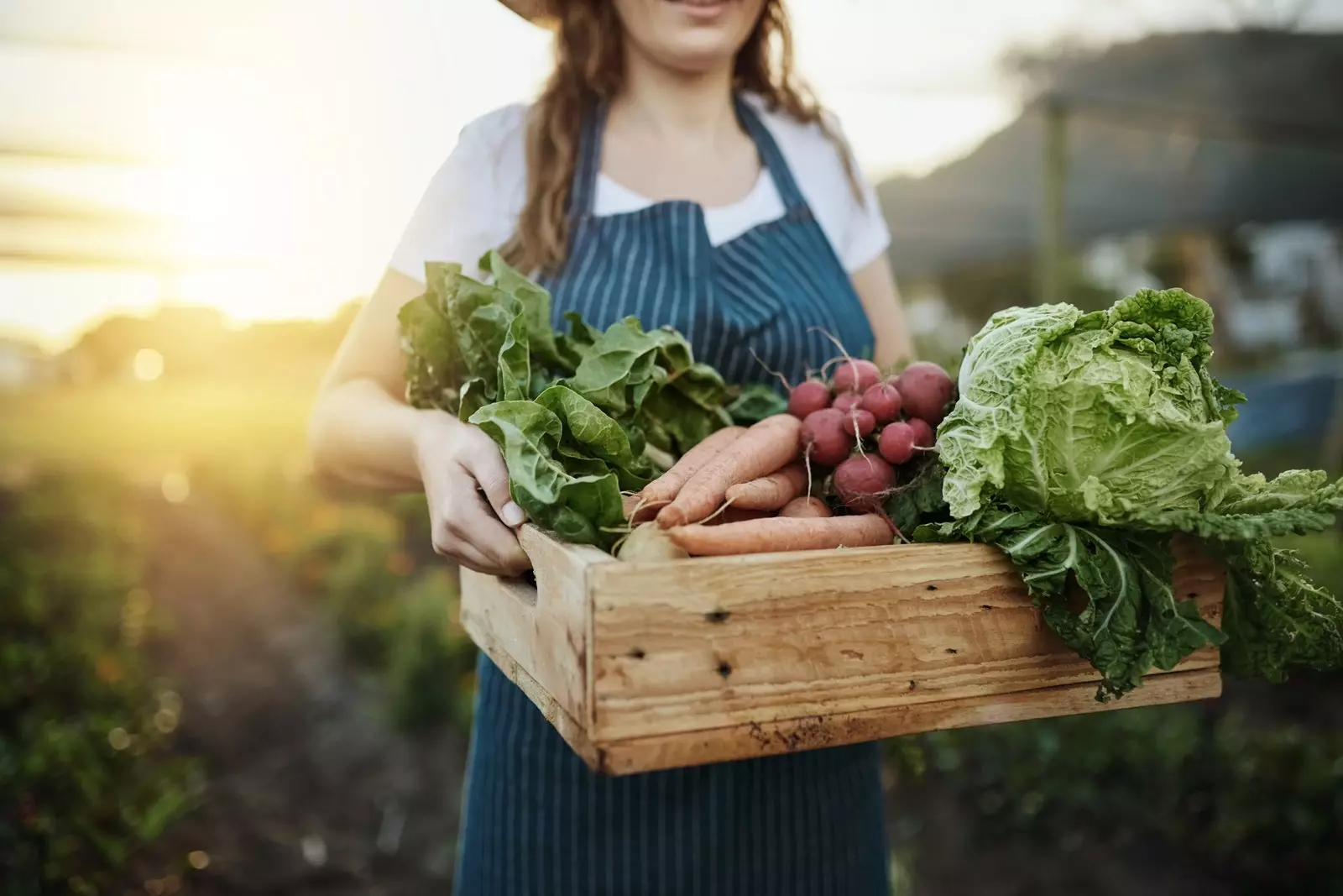 For the love of vegetables