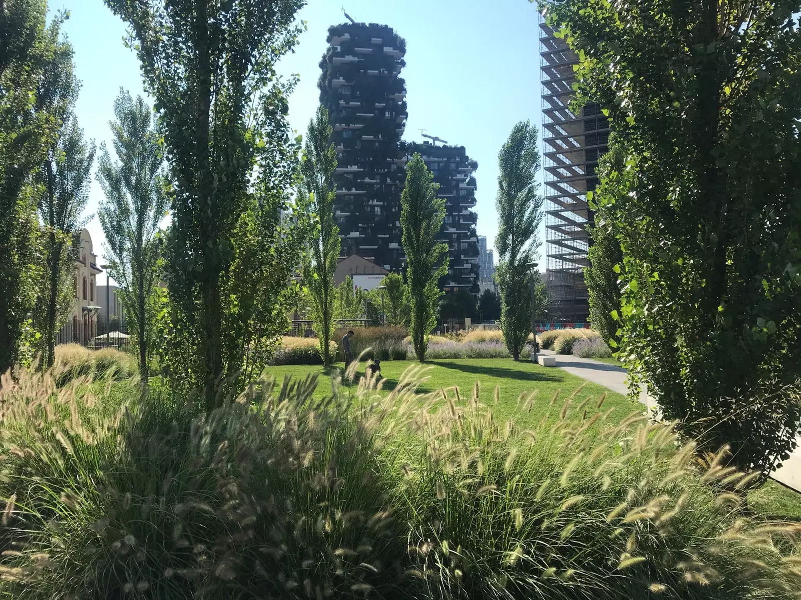 Bibliothèque d'arbres