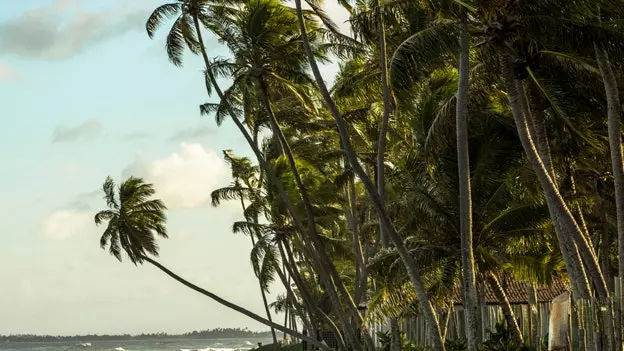 La Côte des Cocotiers : le secret le mieux gardé du Brésil