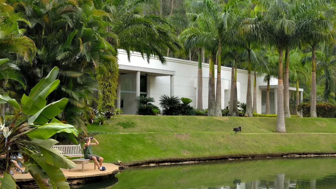 Inhotim, paradis de l'art et de la nature