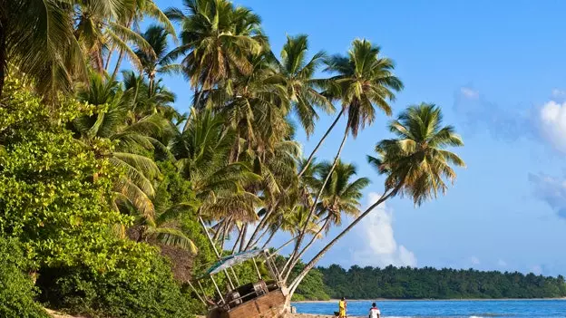 Tre copëza nga Salvador de Bahia