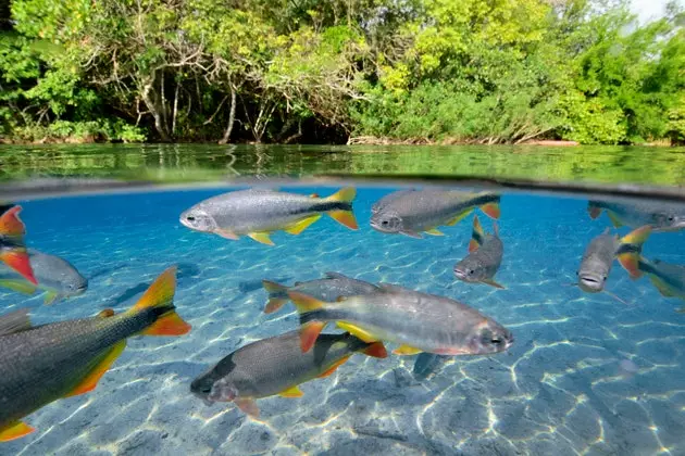 Di sini semuanya mengundang untuk berenang