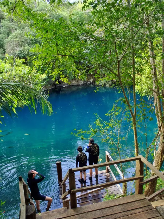 Ci sono molte ragioni per indossare il costume da bagno e gli occhialini da sub