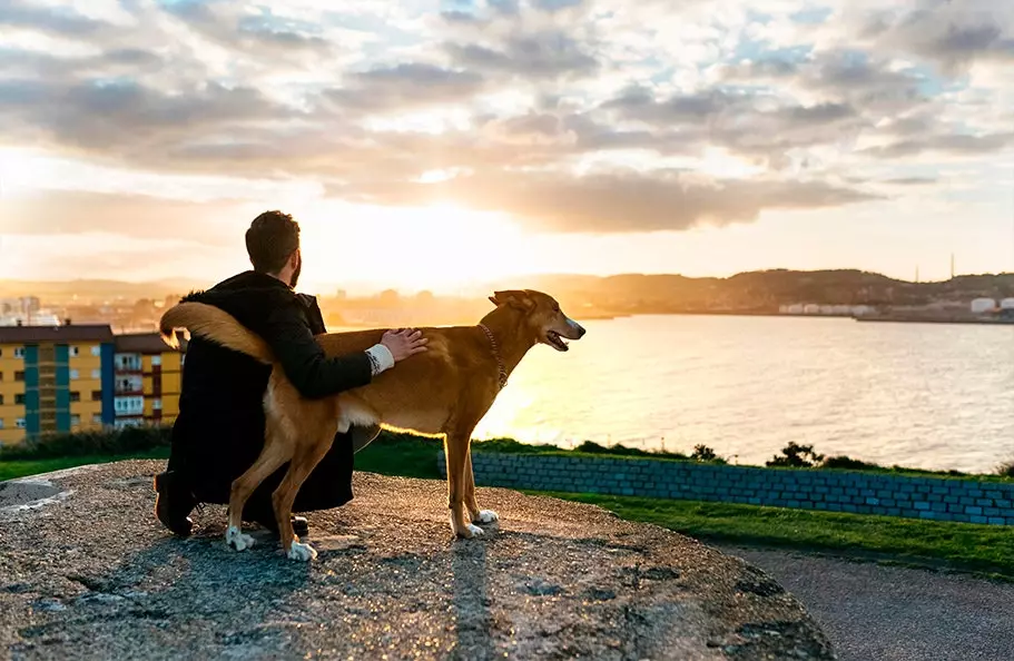 Les Asturies, le paradis parfait pour une escapade avec votre chien 13562_1