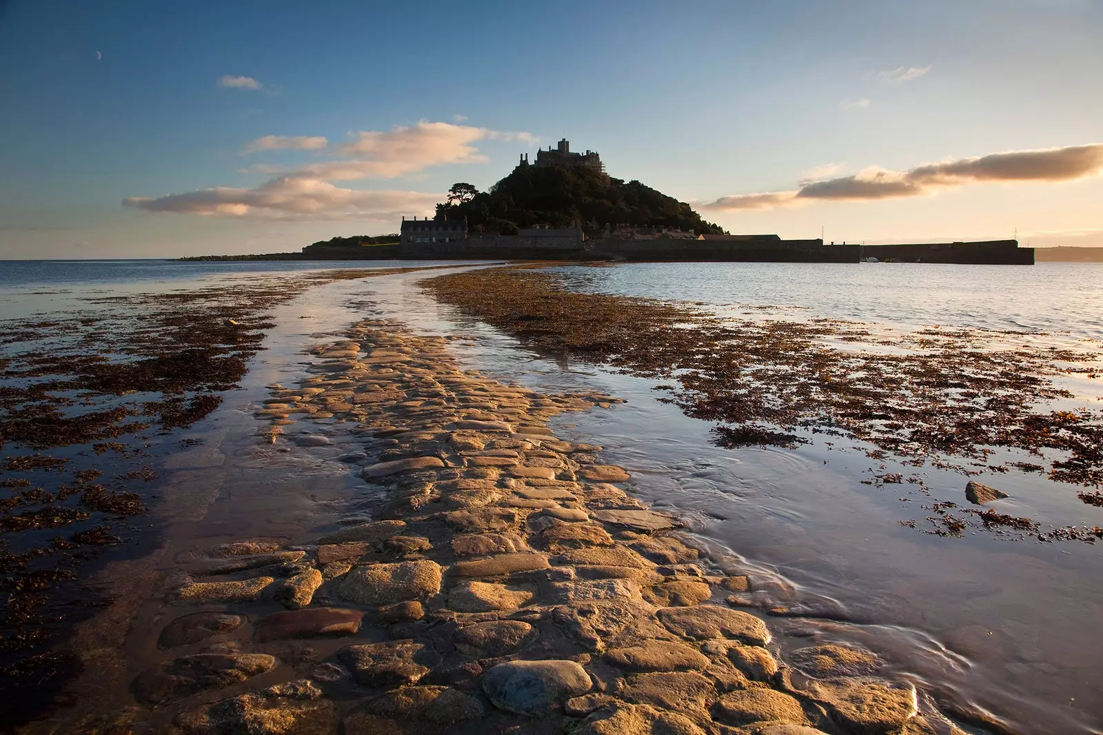 Vuoi vivere su un'isola con un castello della Cornovaglia? Hai meno di 24 ore per presentarti al lavoro di una vita