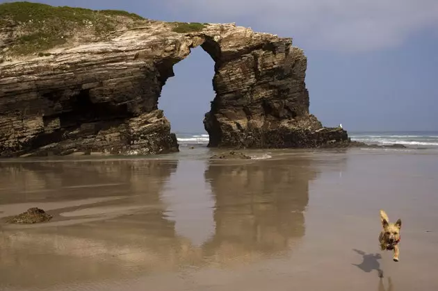 Louez les beautés naturelles de la Galice