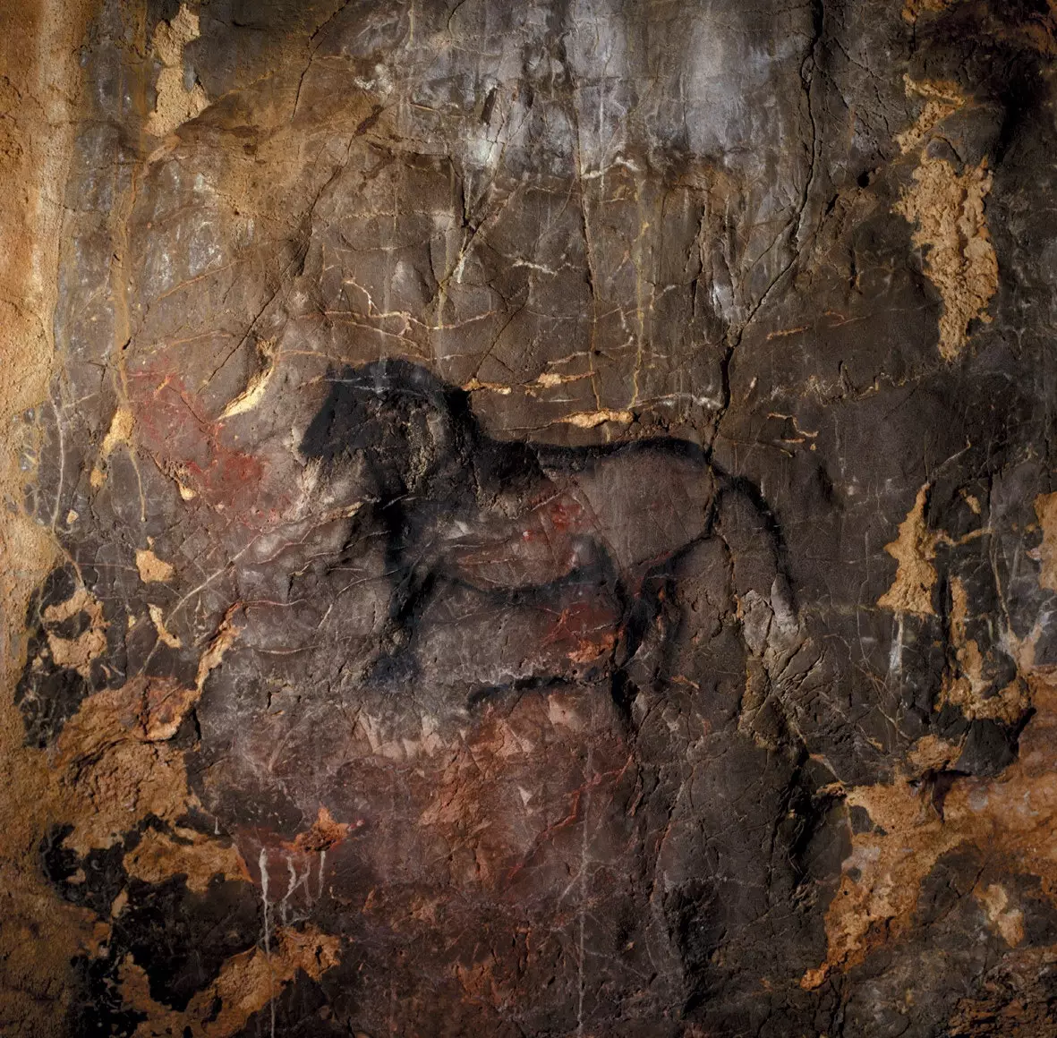 Hulekunst i Cueva de la Garma i Cantabria