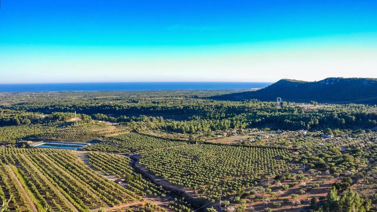 Vinogradi s pogledom na more: Costa Daurada genijalaca