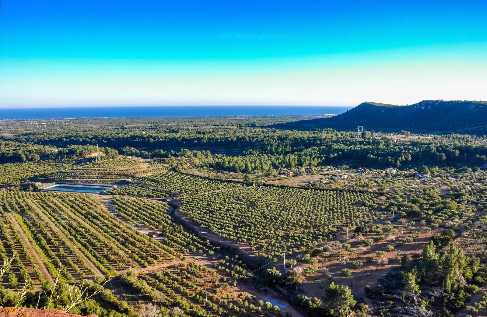 Montroig del Camp הנוף הרגשי של ז'ואן מירו