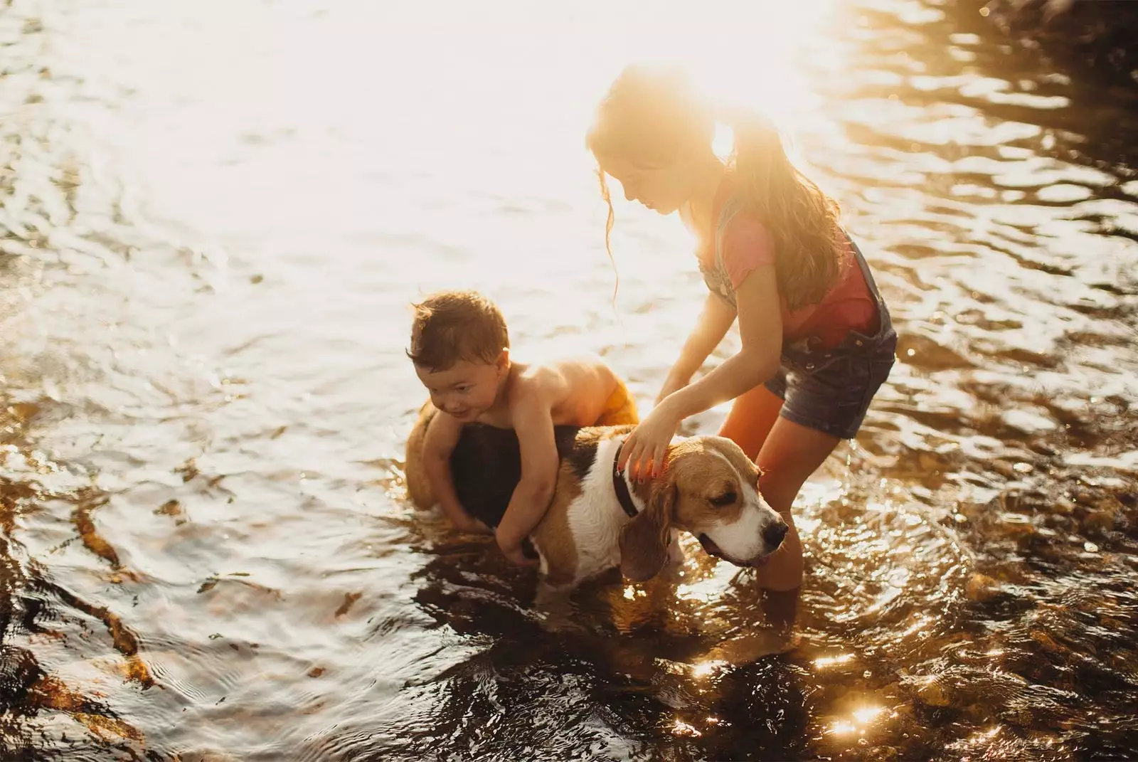 children bathing a dog in the lake