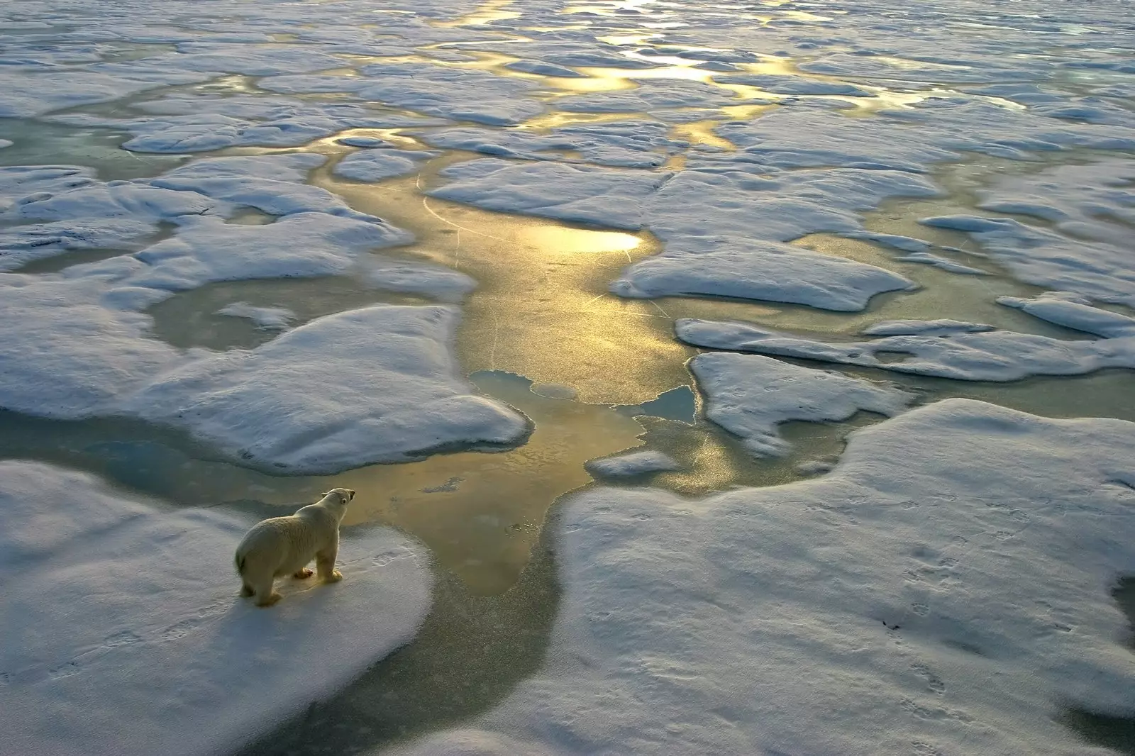 Louise Arner Boyd od milijunske turistkinje do polarne istraživačice