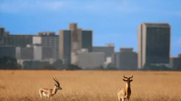 Nairobi, Ledakan Besar Afrika Timur