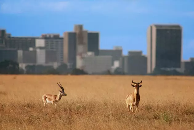 Nairobi Velký třesk východní Afriky