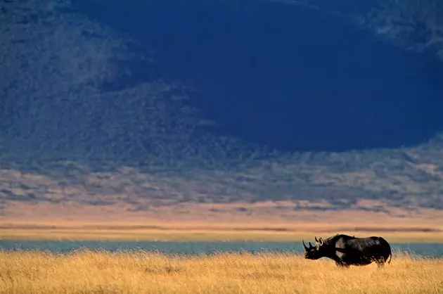 Nairobi National Park