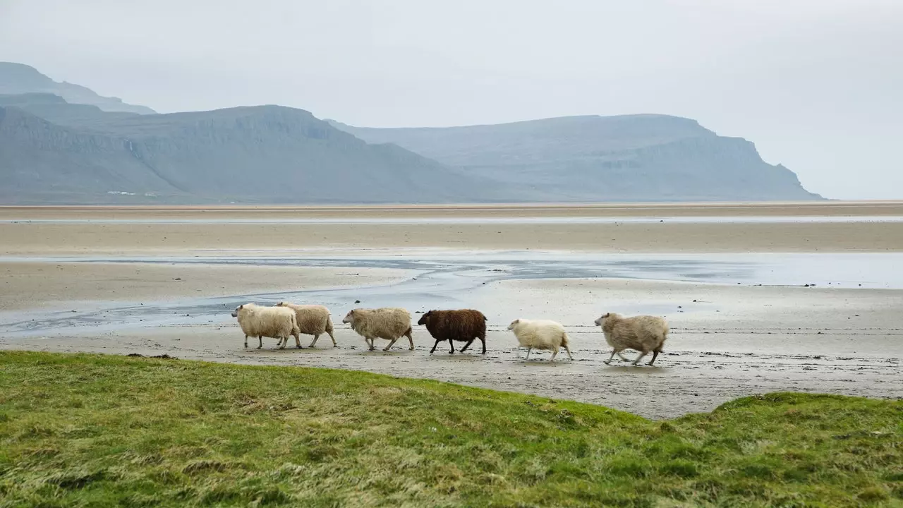 Das wildeste und abgelegenste Island in den Nordwestfjorden