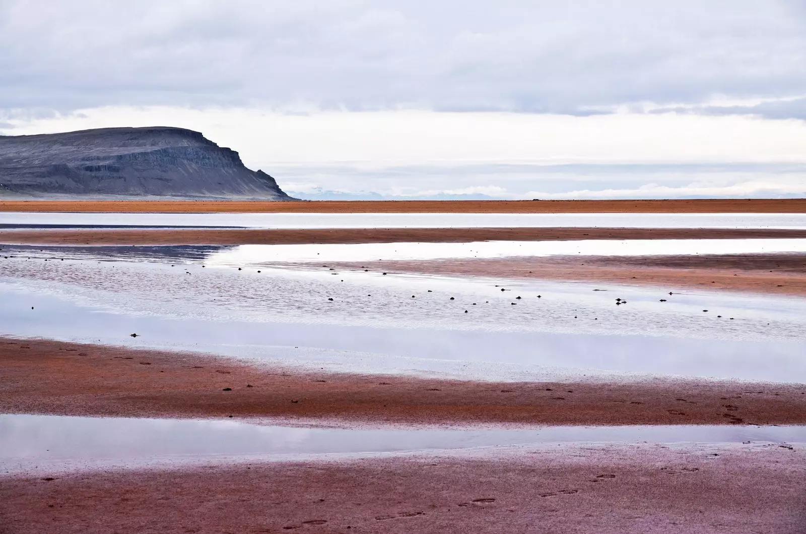 Praia de Raudisandur nos fiordes ocidentais da Islândia.