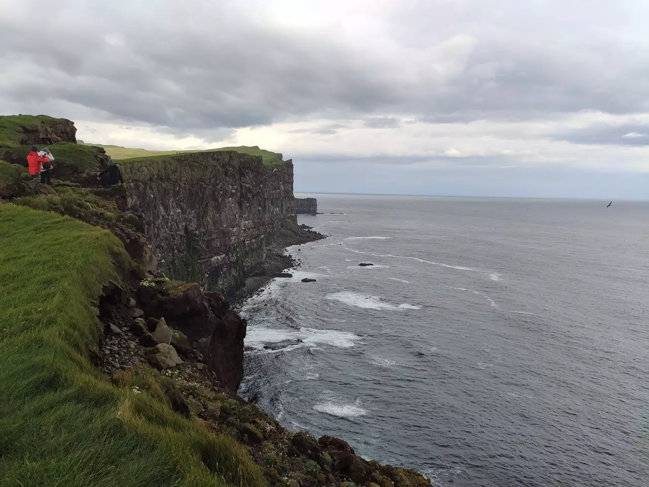 Latrabjarg klippor Island