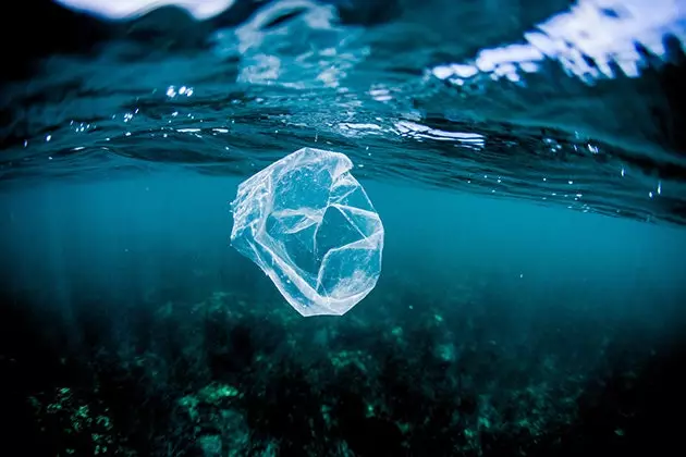 Este posibilă o lume fără oceane poluate