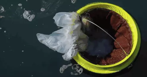 Seabin's challenge to end the pollution of seas and oceans