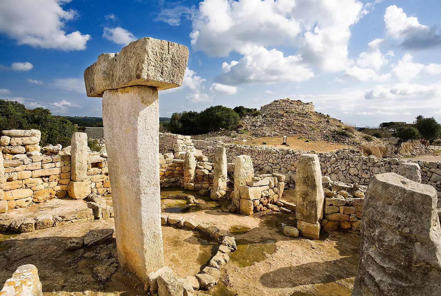 Torralba de Salort