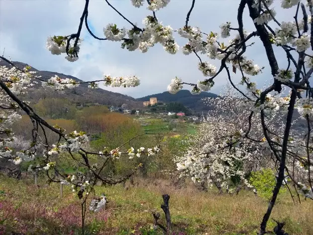 Η παράσταση Jerte Berciano αξίζει μια επίσκεψη