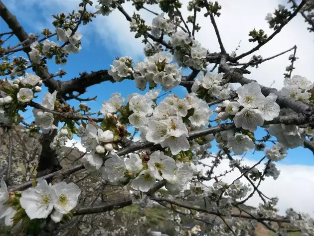 Nepamirškite pasiimti fotoaparato!