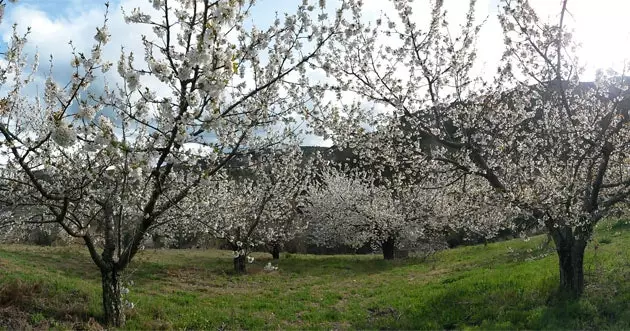 εντάξει πότε θα φύγουμε