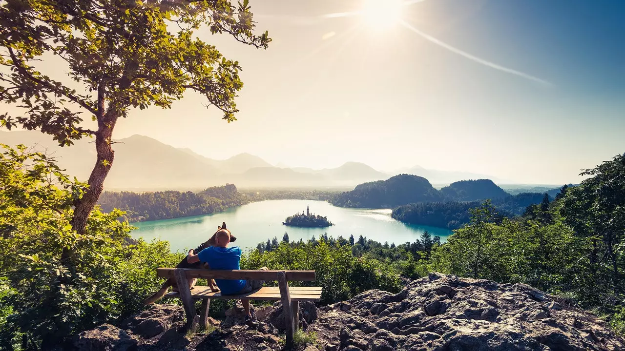 Njia bora zaidi za kupanda mlima nchini Slovenia ni kufanya na mbwa wako