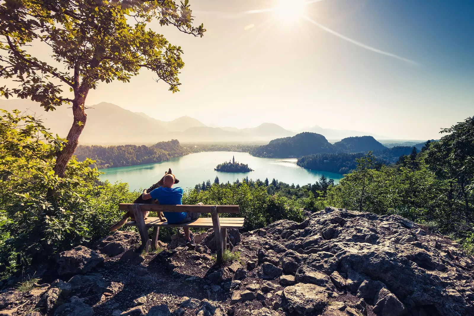 Imagine-se olhando a calmaria do Lago Bled com seu melhor amigo