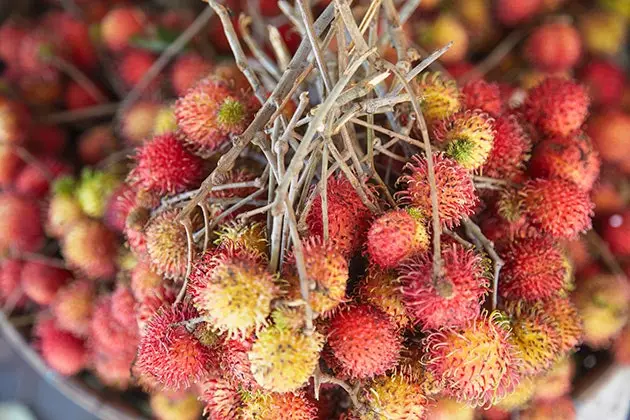 rambutāns